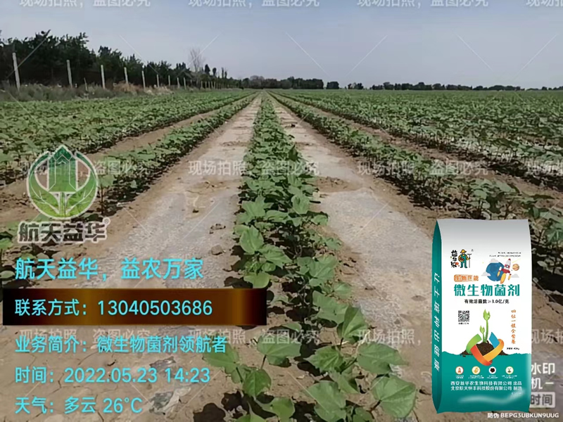 生物巨能產(chǎn)品效果圖
