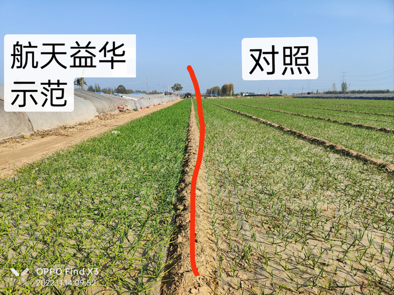 生物巨能產(chǎn)品效果圖