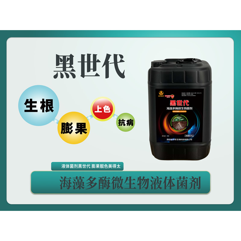 黑世代