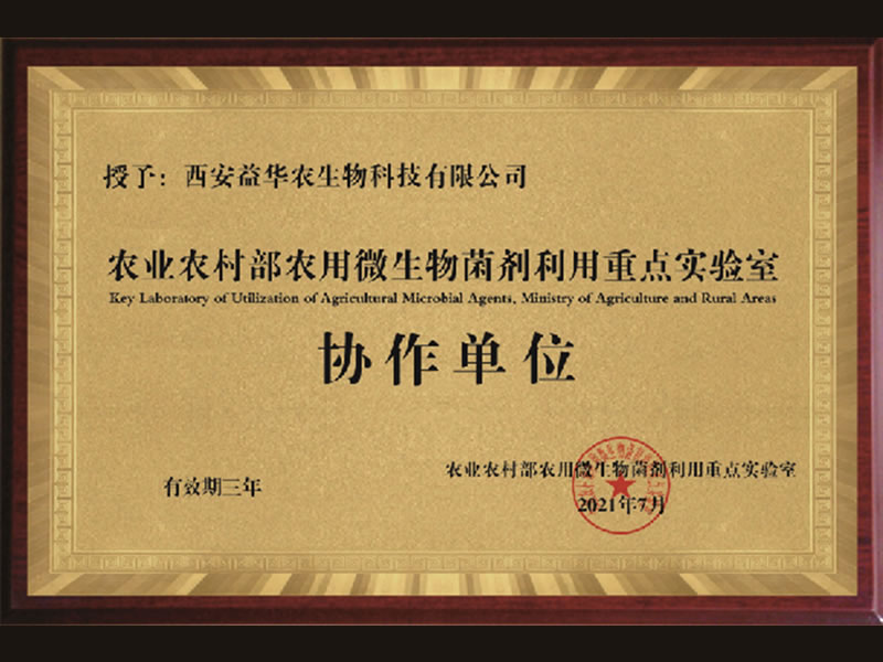 榮譽(yù)資質(zhì)