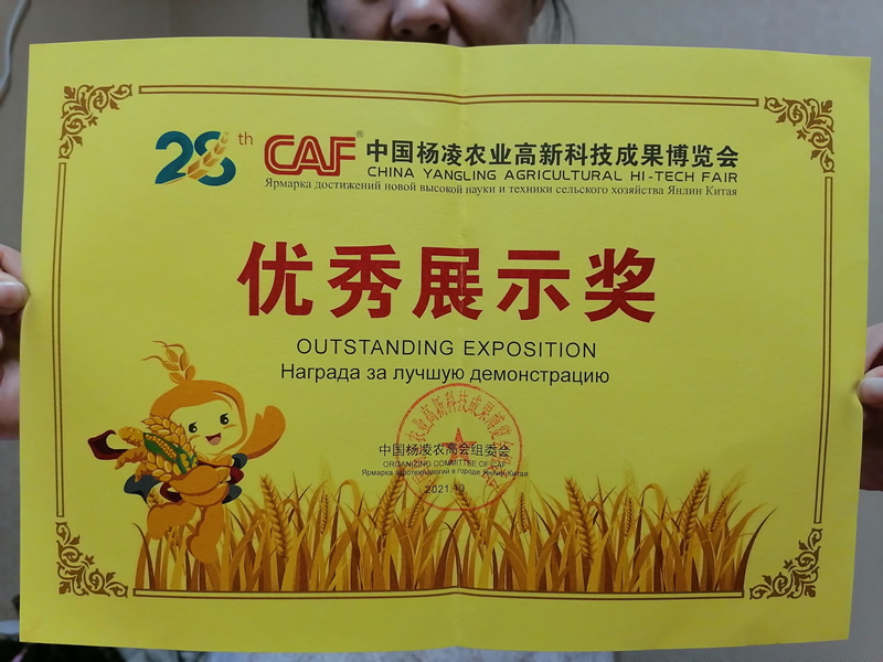 榮譽(yù)資質(zhì)